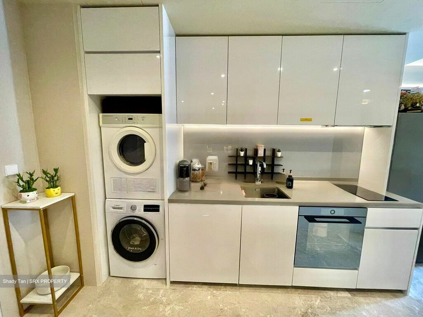Amber Park (D15), Condominium #464268971
